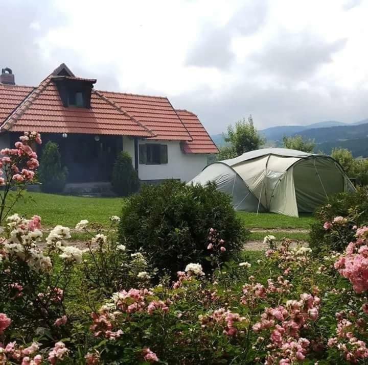 דירות Kremna Camp Viljamovka מראה חיצוני תמונה